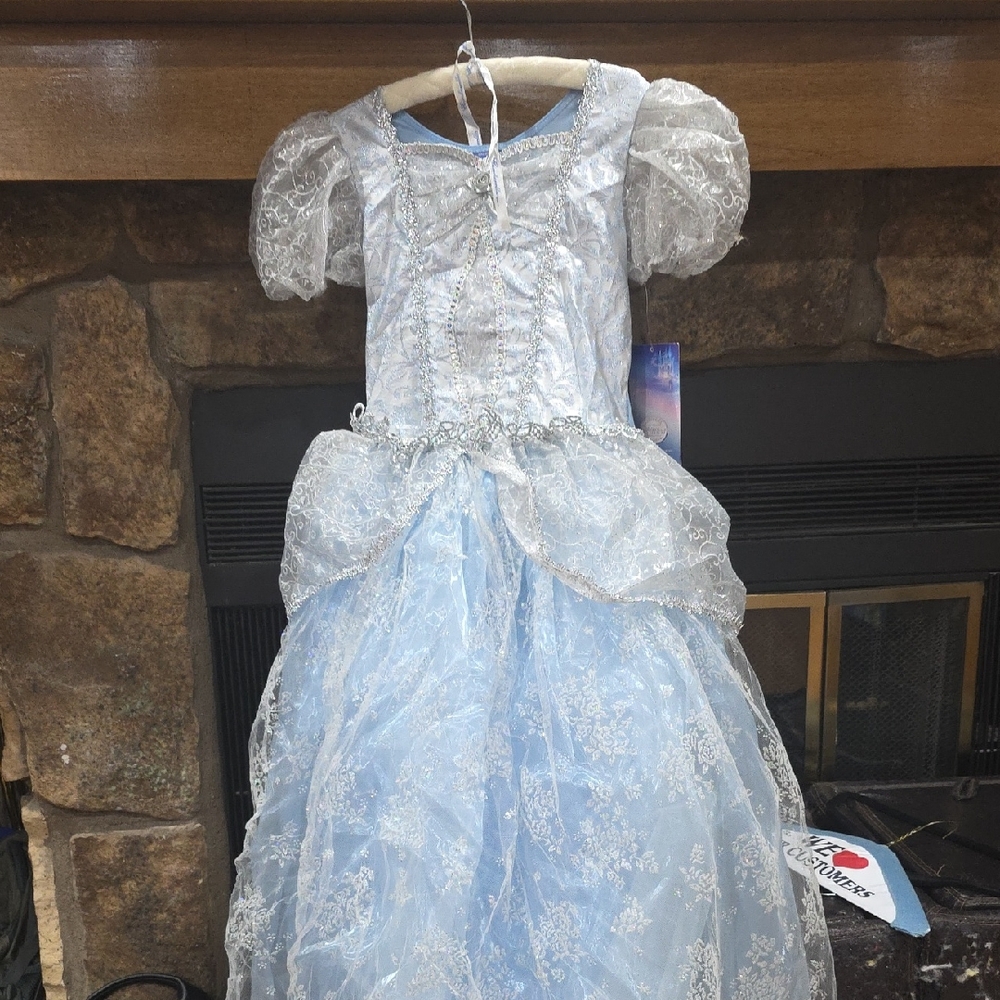 Disney Silver and Blue Princess Costume
